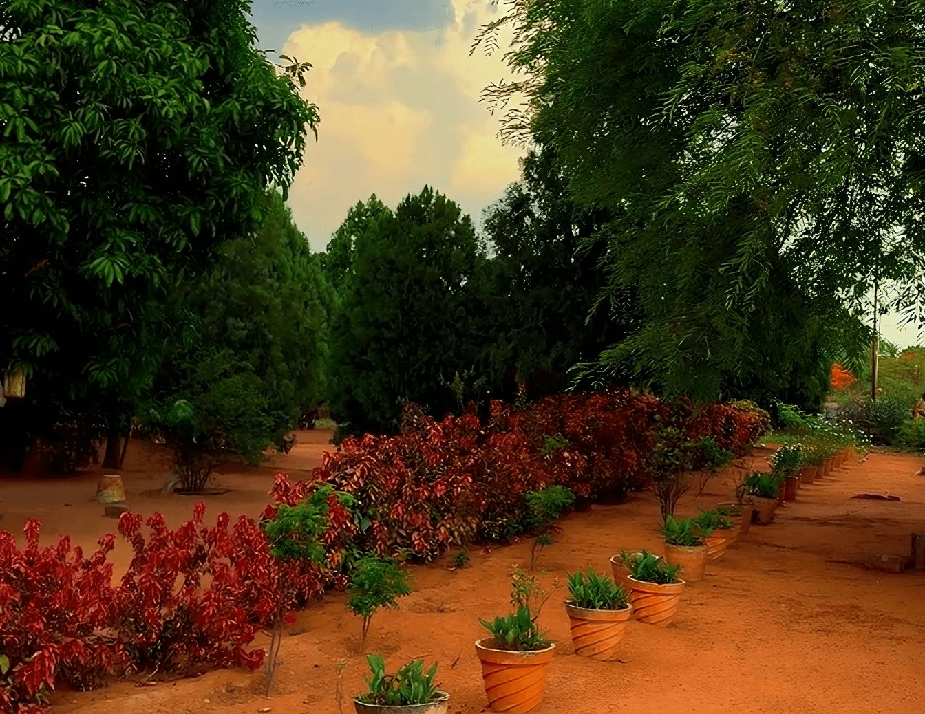 Serenity Heights
